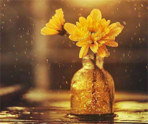 《游戏乐园》夏季嘉年华